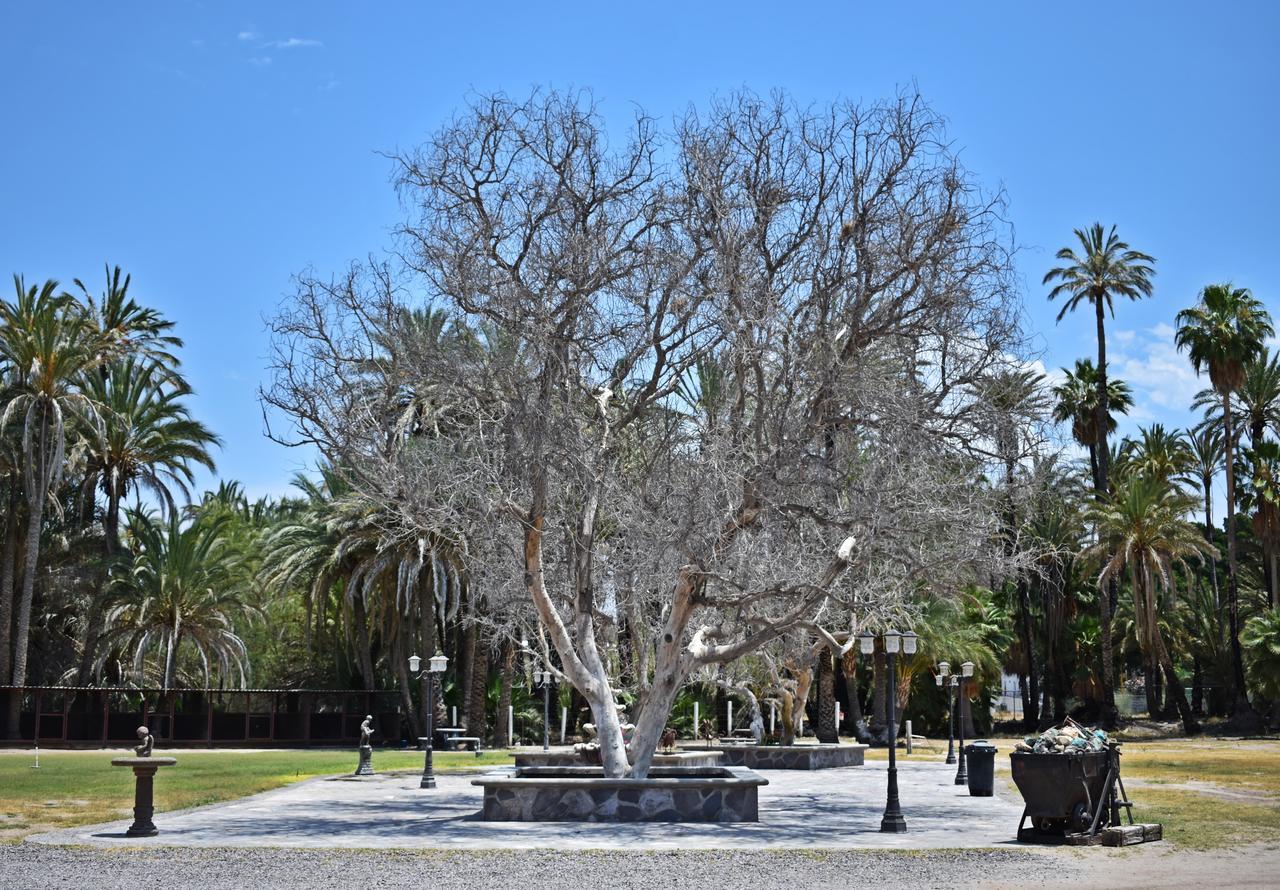 La Huerta Hotel San Ignacio  Bagian luar foto
